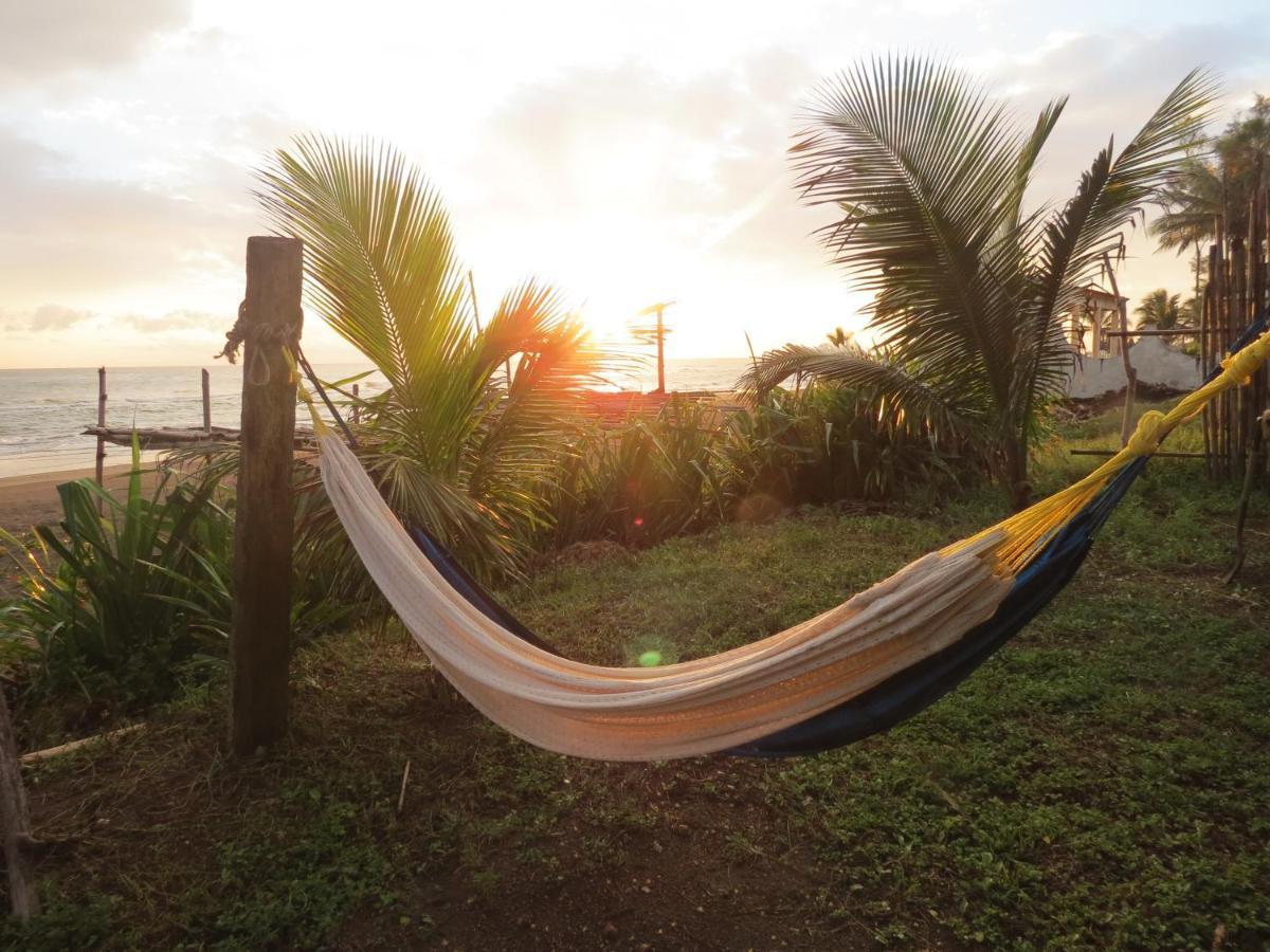 Eco Coco Loco By Rotamundos Hotel Casitas